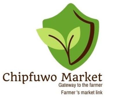 Chipfuwo Market